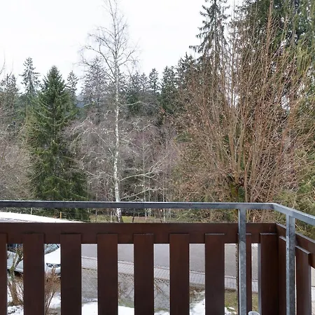 Haus An Der Gutach *