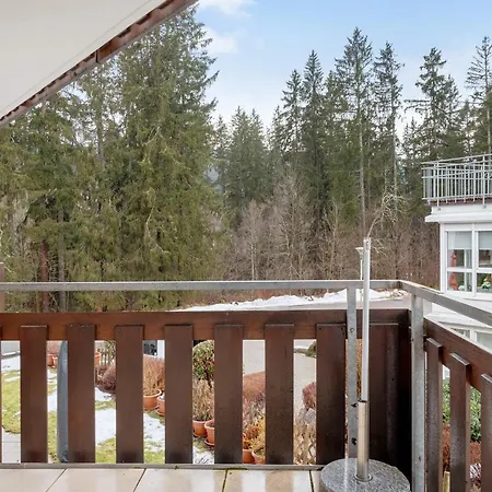 Haus An Der Gutach Апартаменты Титизее-Нойштадт