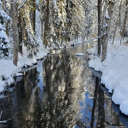Haus An Der Gutach Апартаменты *
