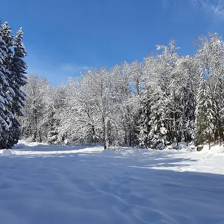 Haus An Der Gutach Lägenhet *