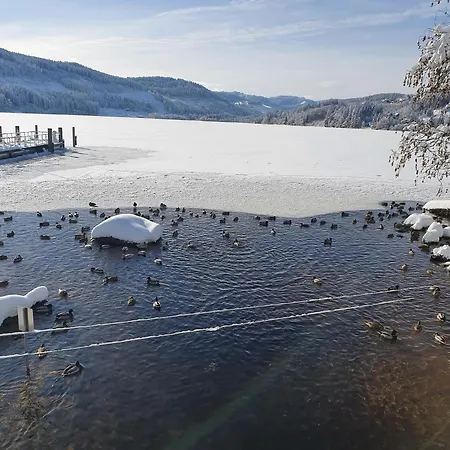 Haus An Der Gutach Апартаменты *