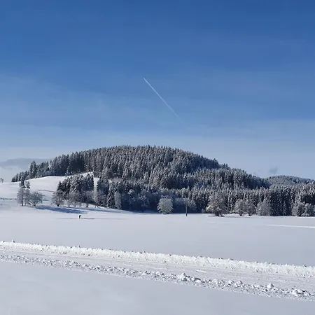 Haus An Der Gutach Titisee-Neustadt