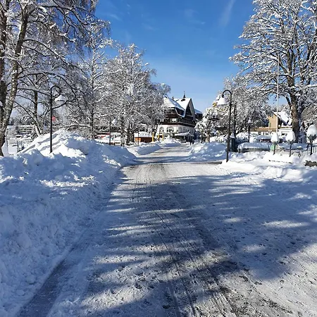 Haus An Der Gutach * Titisee-Neustadt