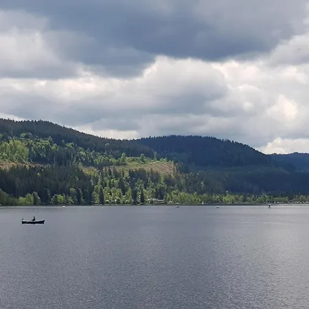Haus An Der Gutach * Titisee-Neustadt