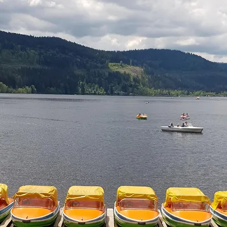 Апартаменты Haus An Der Gutach *