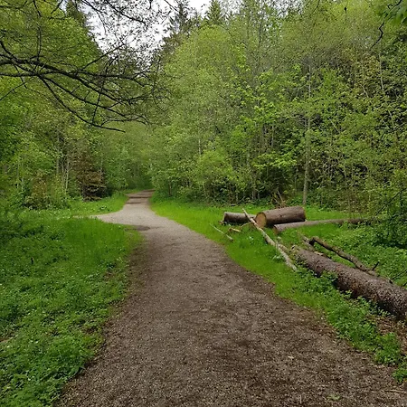Haus An Der Gutach Lägenhet