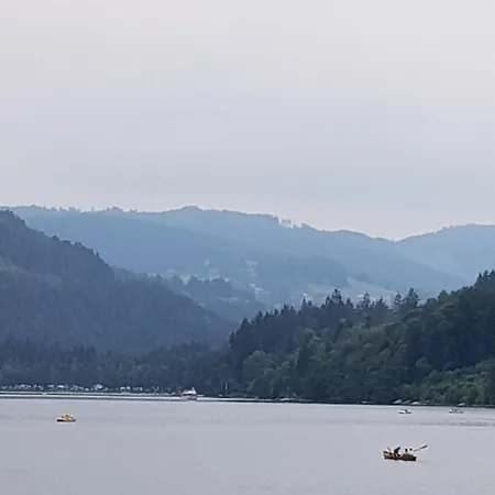 Lägenhet Haus An Der Gutach *