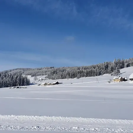 Apartment Haus An Der Gutach Titisee-Neustadt