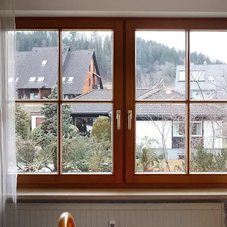 Haus An Der Gutach Lejlighed Titisee-Neustadt