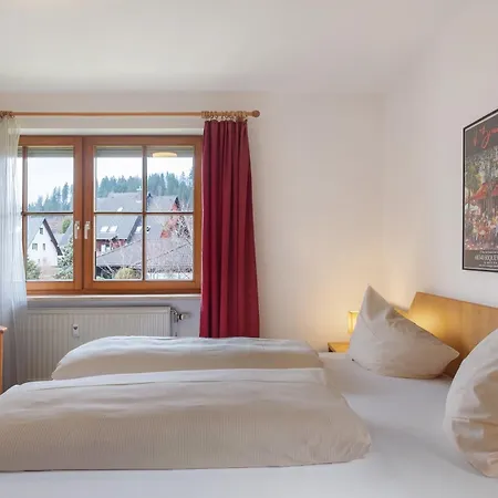 Haus An Der Gutach Lejlighed *