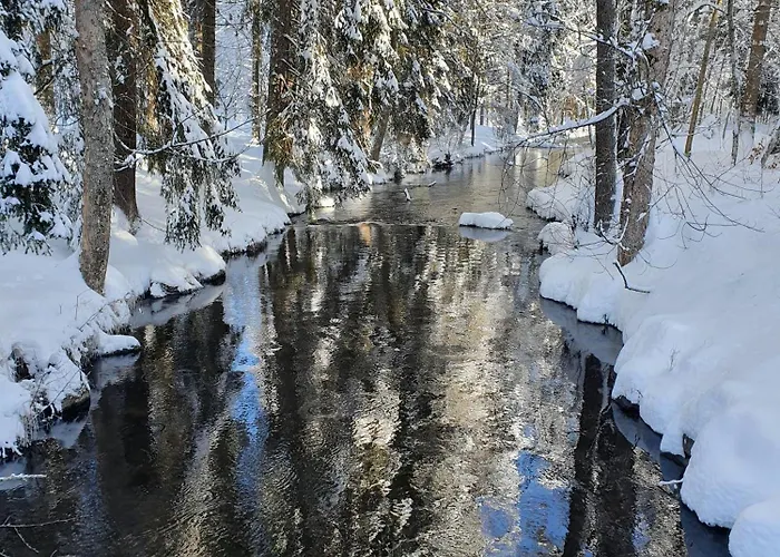 Haus An Der Gutach Lejlighed *